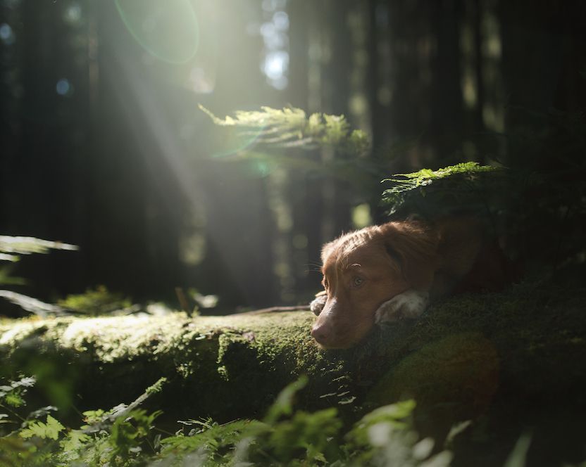 Common Sense — Not So Common